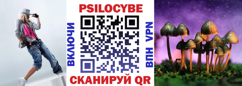 Псилоцибиновые грибы мицелий  купить  цена  Пестово 